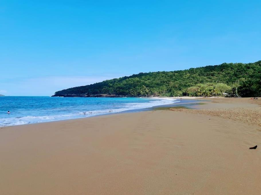 Tres Jolie Villa Alahaut Deshaies Esterno foto