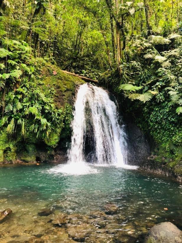 Tres Jolie Villa Alahaut Deshaies Esterno foto